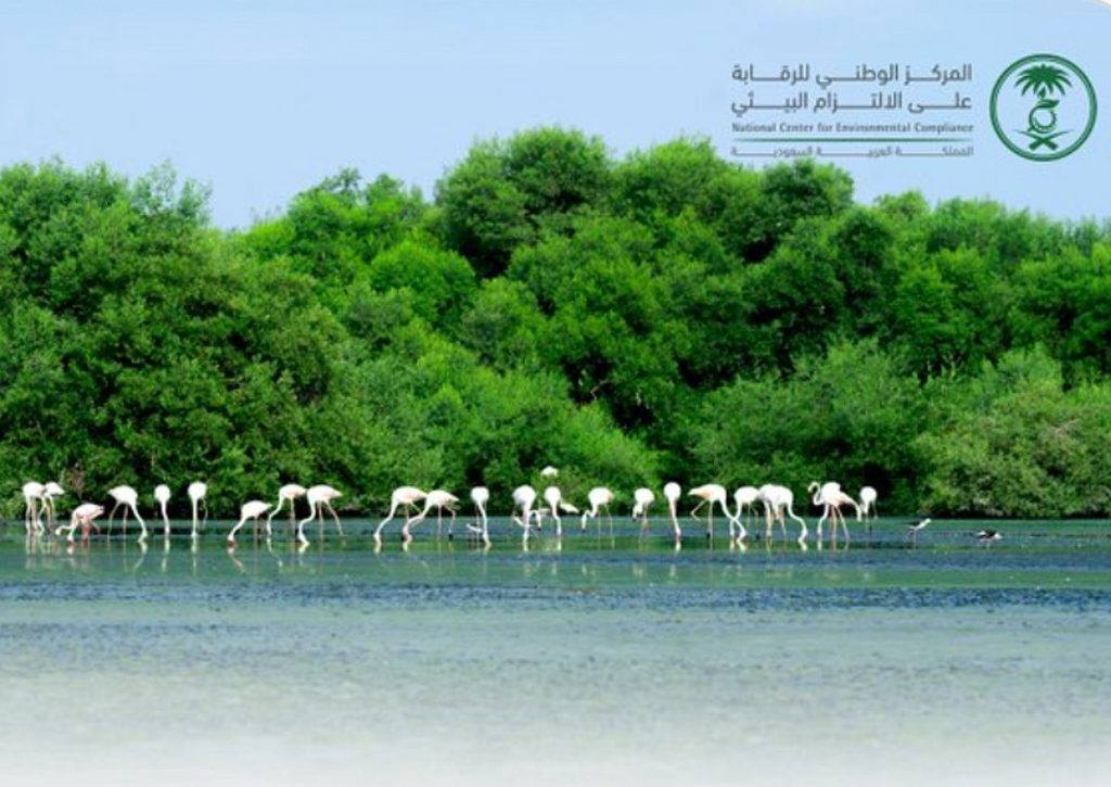 ajel2F2026 02 022Fbf8j2dys2FScreenshot 2026 02 02 095300