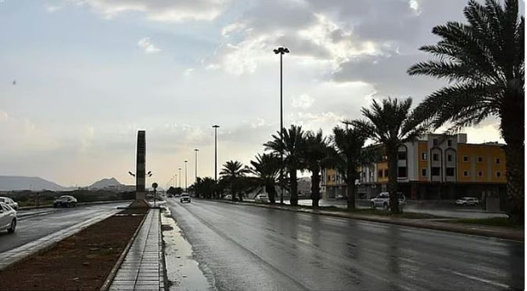 طقس المملكة الثلاثاء.. أمطار رعدية ورياح نشطة وتكوّن للضباب على عدة مناطق ajel2F2026 02 032Fbpgtxttu2FCapture