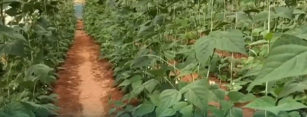 ajel2F2026 02 042F6xf35ket2FD985D8ADD8B5D988D984