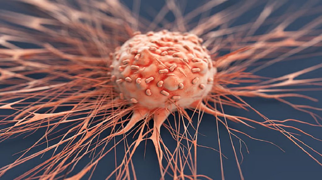 ajel2F2026 02 042F7g3tywy22FD8B3D8B1.avif