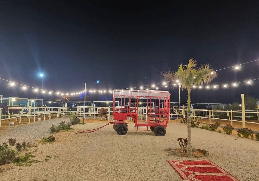 ajel2F2026 02 062Fa0ogqssu2FWhatsApp Image 2026 02 06 at 10.16.35 PM 1