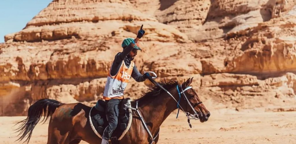 ajel2F2026 02 072Fp8gkjvrl2FD8B9D984D8A7