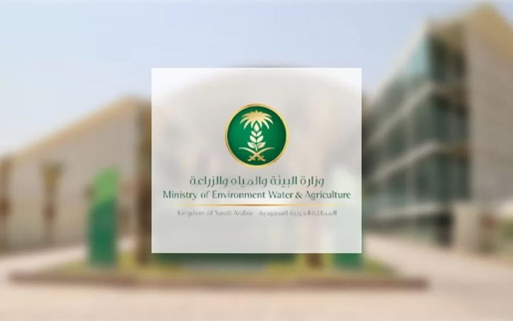 ajel2F2026 02 092F71q9h1g52FBody01 2025 06 30T083640.967 1024x640