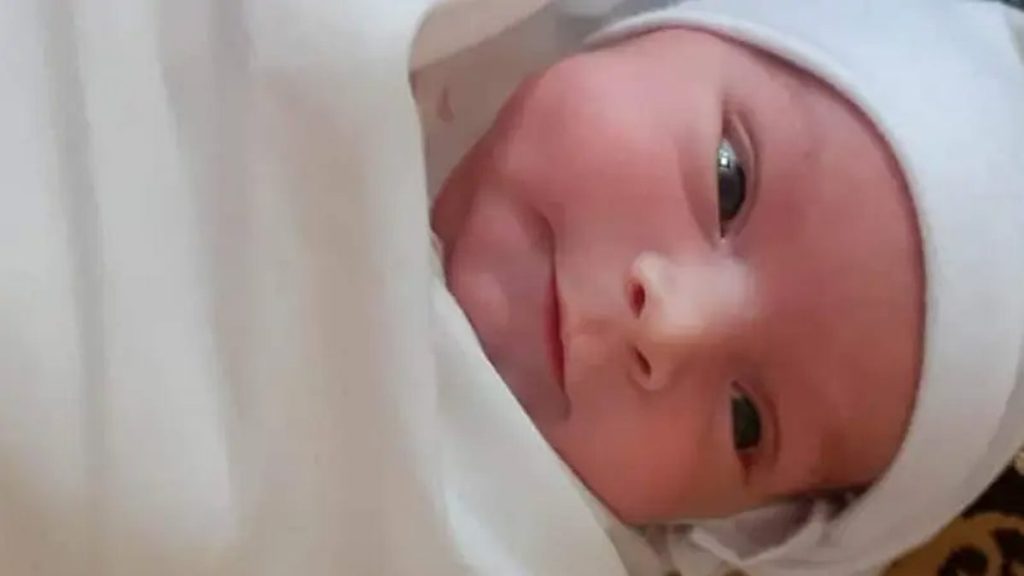 ajel2F2026 02 112F2zcwrai02FD8B7D981D984 D8ADD8AFD98AD8AB D8A7D984D988D984