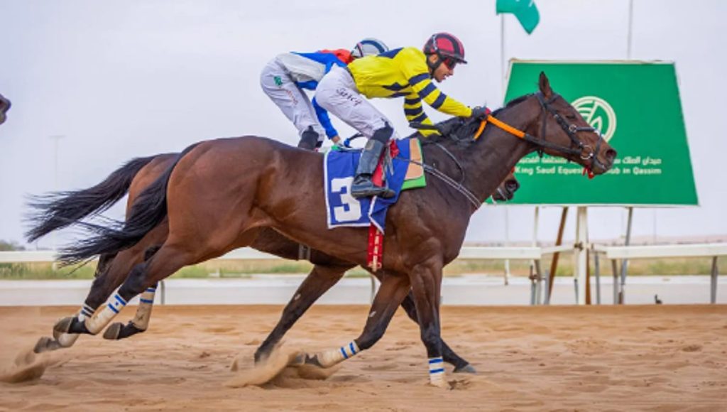 ajel2F2026 02 112Fahnum1ju2FCapture