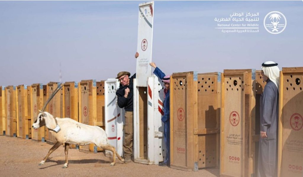 ajel2F2026 02 112Flq96b1zv2FScreenshot 2026 02 11 153410