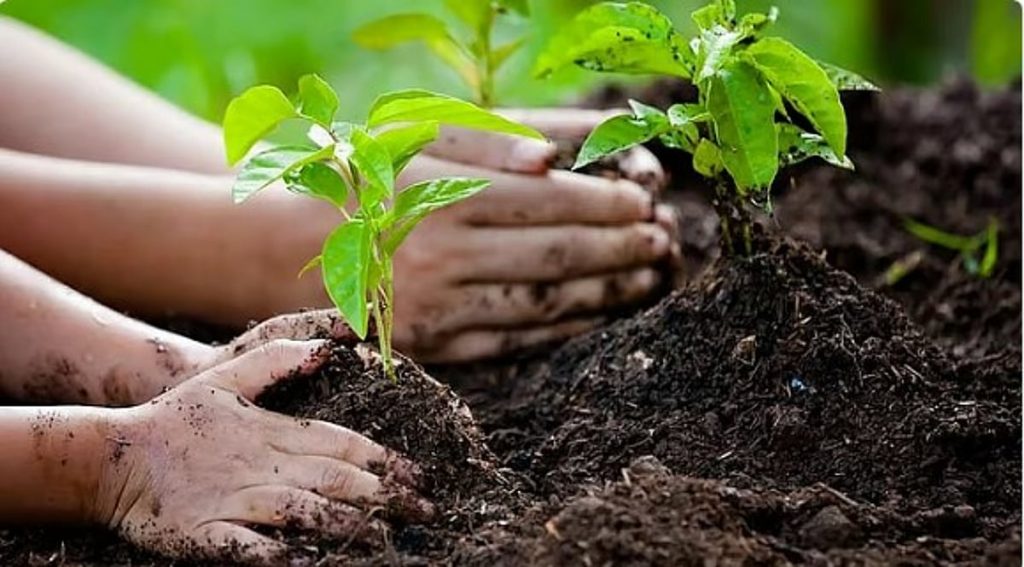 مسؤول: مشروع زراعة أكثر من مليوني شجرة في جازان يسهم في إعادة تأهيل الغطاء النباتي ajel2F2026 02 132F8txysipq2FD8B4D8ACD8B1D8A9