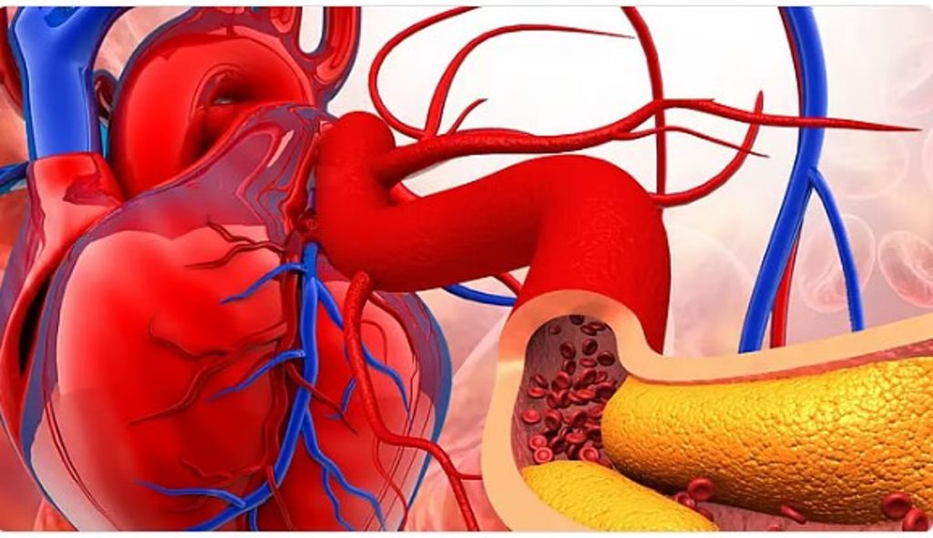 ajel2F2026 02 132Fxutf0mul2FD8AAD8B5D984D8A8 D8A7D984D8B4D8B1D8A7D98AD98AD