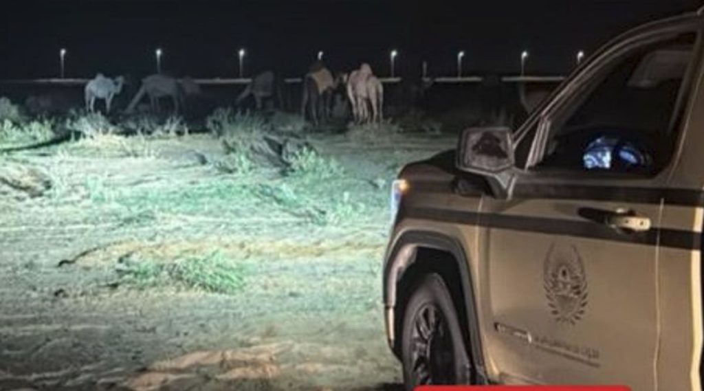 ajel2F2026 02 162Fp51c6c922FScreenshot 2026 02 16 141535