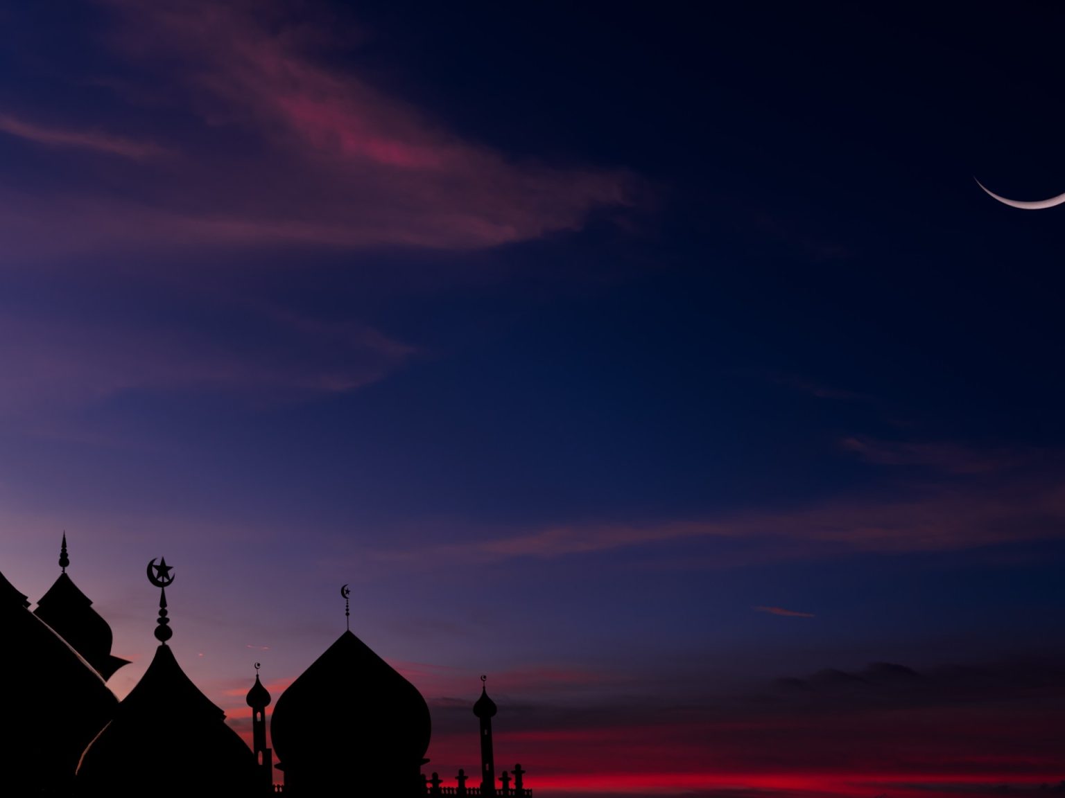 shutterstock 2405325609 1771326091