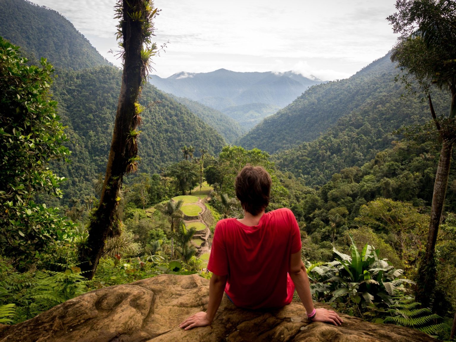 shutterstock 2600571313 1770788359